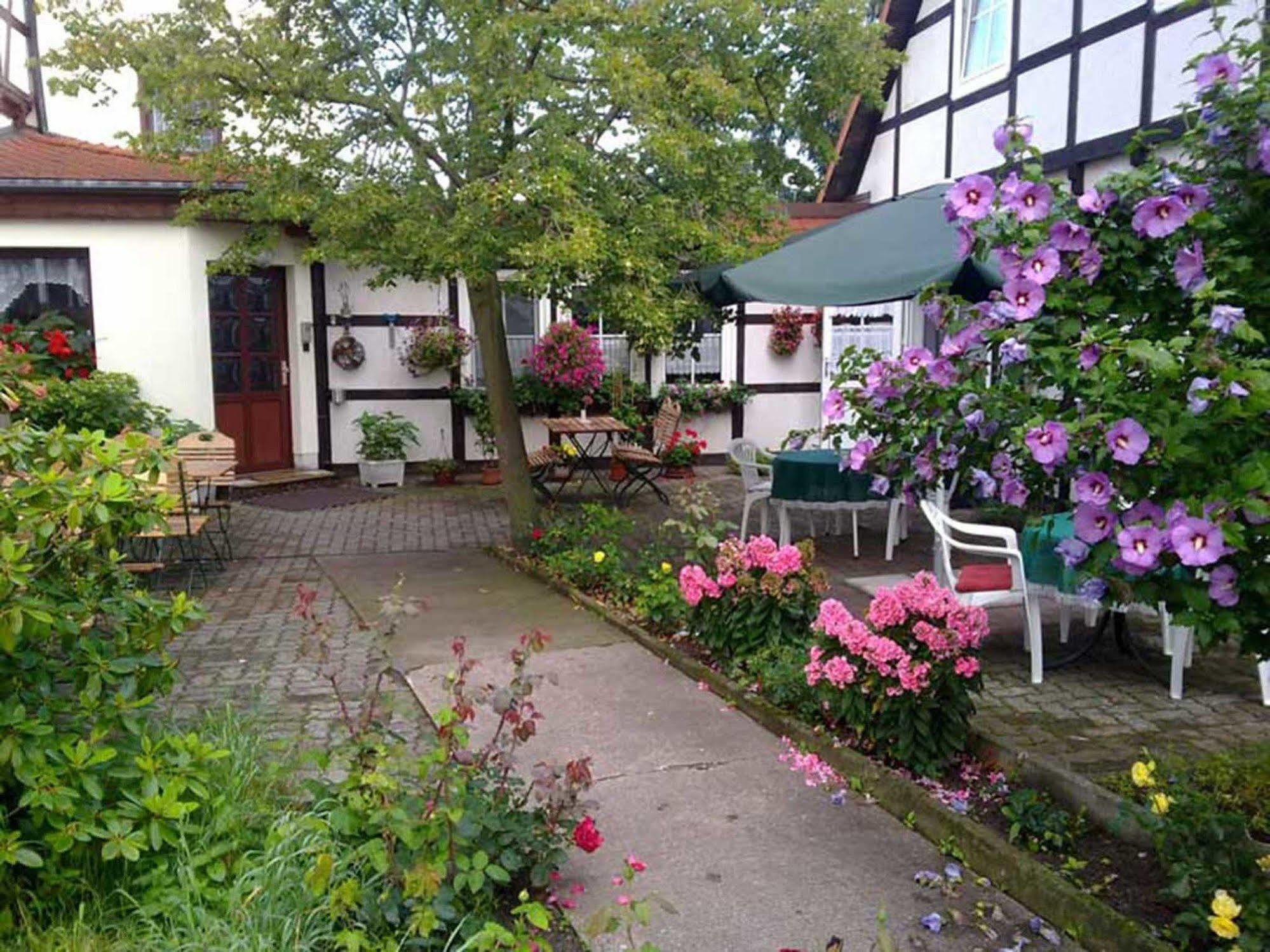 Pension Am Stadtrand Zerbst Ngoại thất bức ảnh